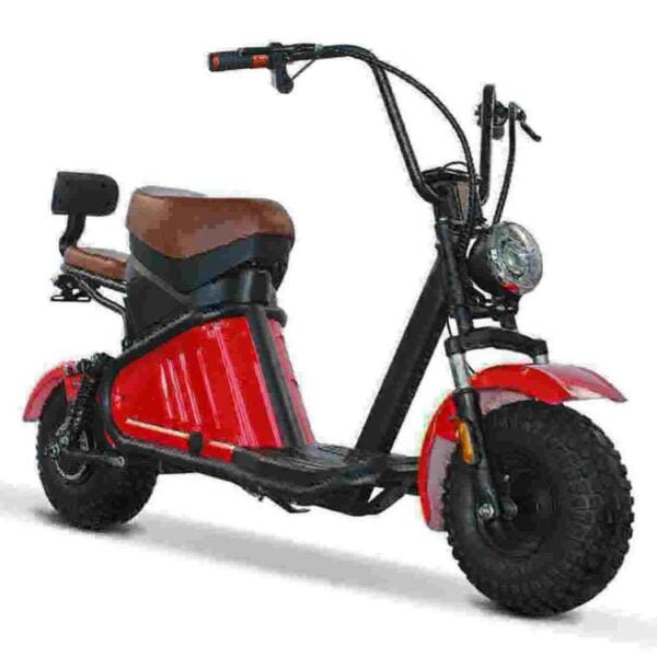 Elektrický skútr Citycoco 1000w