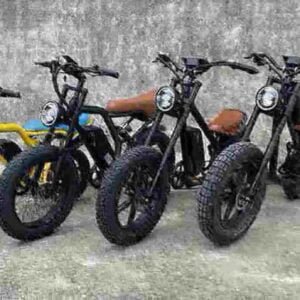 E Fatbike