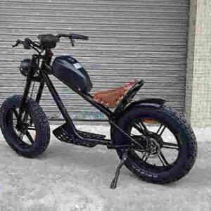 Pneumatiky Ebike Snow