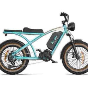 Ebikes