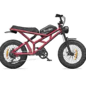 Elektrokolo Fat Tire 750w