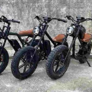 Dirt Electric Bike