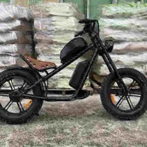 Městské Ebike