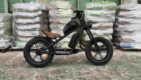 Městské Ebike