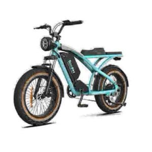 ebay ebike