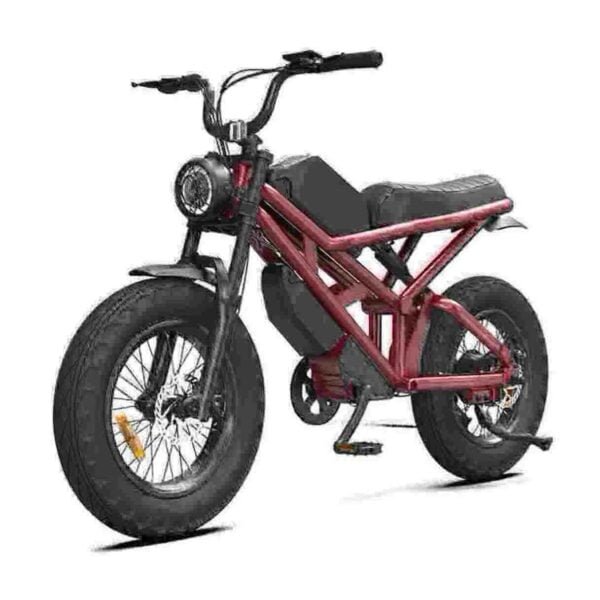 specializovaná ebike